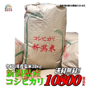 即決! 令和3年産 送料無料! 新潟県 コシヒカリ 玄米 ３０kg