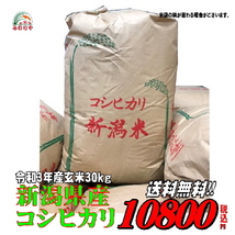 即決! 令和3年産 送料無料! 新潟県 コシヒカリ 玄米 ３０kg_画像1