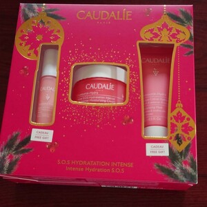 パリで購入☆CAUDALIE☆乾燥肌用コスメセット☆ スキンケア 化粧品