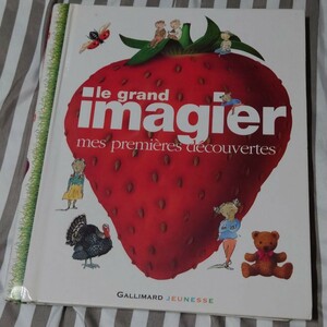 楽しくボキャブラリーを増やせる！子供用フランス語辞書