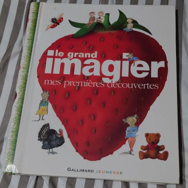 楽しくボキャブラリーを増やせる!子供用フランス語辞書