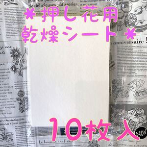 押し花用 乾燥シート 10枚組♪