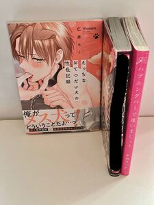 saya様専用 BLコミック 2冊