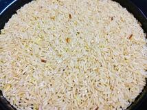 令和3年産【丹波産】インディカ 精米 -特別栽培米- “星かぐわ” 450g_画像4