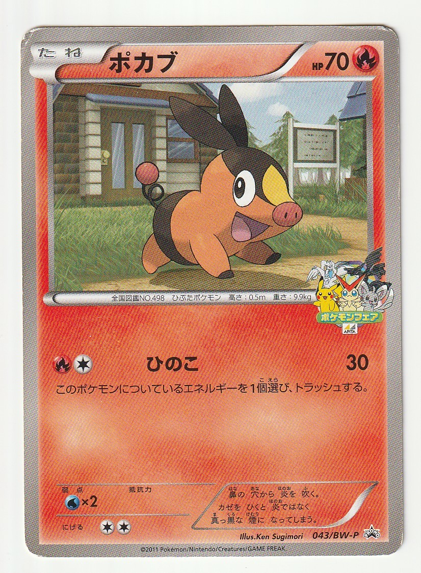 超希少】ポカブ ポケモンバトルトレイン プロモ PROMO 079/BW-P-