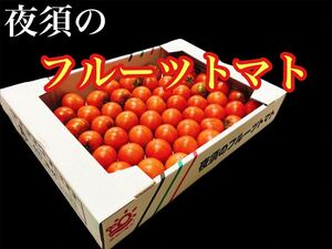 高知県産　夜須のフルーツトマト　20玉前後　コンパクトボックス送料無料