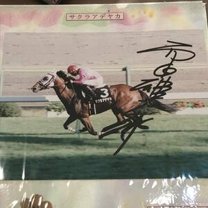  west rice field male one .. hand with autograph Sakura ateyaka goal front photograph two book@ pine special (H9.9.27)