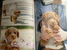 プードル・ファミリー　2013年版　HAPPYヘアカタログ77 ハンドメイドにかわいく暮らす　愛犬の防災特集　Fashion&Goods_画像8