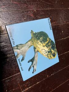 ヒーリング・オブ・ザ・ルナティック・アウル (生産限定紙ジャケット仕様) Brainchild Healing Of The Lunatic Owl 激レア　廃盤　CD