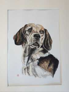 Art hand Auction Aquarell Beagle, Malerei, Aquarell, Tierbilder