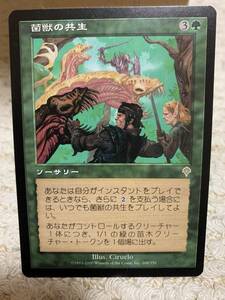 インヴェイジョン　菌獣の共生/Saproling Symbiosis　日本語版　極美品