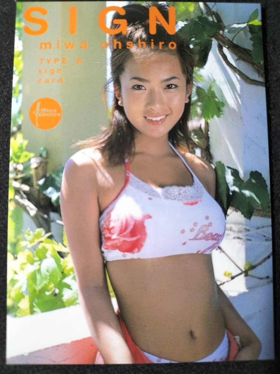 数量限定!特売 井川遥 トレーディングカード 約200種類 seedpotatoes