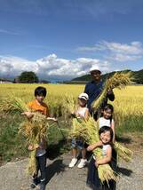 米　新米　山形県産　はえぬき　雪若丸　つや姫_画像6