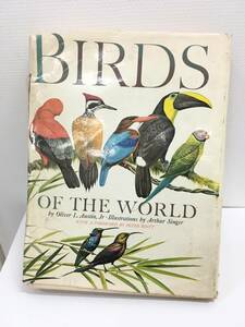 【N-9】希少品　専門誌　図鑑BIRDS OF THE WORLD　洋書 鳥類図鑑　316ページ