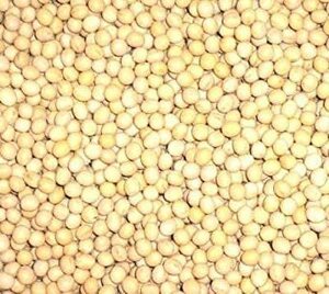 1キログラム (x 1) 北海道産 白大豆 生 1ｋｇ 無添加 生大豆