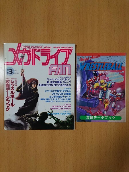 【ゲーム雑誌】メガドライブファン 1991年3月発行 別冊付録：レッスルボール攻略データブック