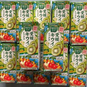 カゴメ野菜生活季節限定愛媛キウイミックス12本セット