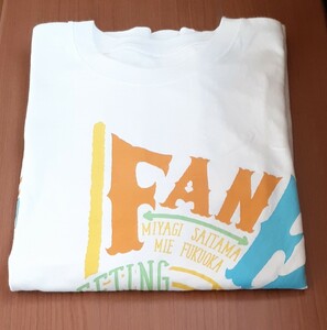 AAA ファンミーティング2019 FANFUNFAN ライブTシャツ L