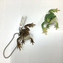 【開封品】ネイチャーテクニカラー シュレーゲルアオガエルとアマガエル 5種セット ※未コンプ・トノサマガエルはありません_画像3