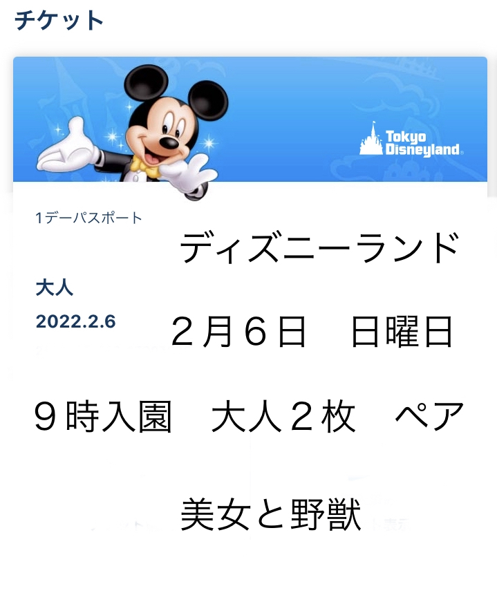 ブランドのギフト 三連休初日 Tdl ３ １９ チケット ペア １デーパスポート Eチケット ２枚 大人 ９時入園 ディズニーランド 土曜日 ３月１９日 ディズニーリゾート共通券