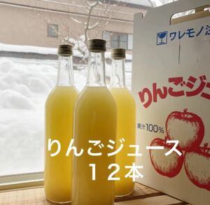 青森県産りんごストレートジュース12本