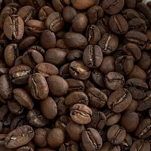 自家焙煎 コロンビア エクセルソ 200g 注文後焙煎 YHR-COFFEE 焙煎 コーヒー コーヒー豆 珈琲