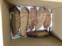 送料込 秀品 15キロ 紅はるか M～2Lサイズ おまけ付き 有機肥料 減農薬栽培 さつまいも 薩摩芋 甘藷 A151ML_画像5