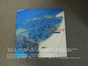 TUBE　THE SEASON IN THE SUN　レコード　LP　チューブ　管理番号 05031