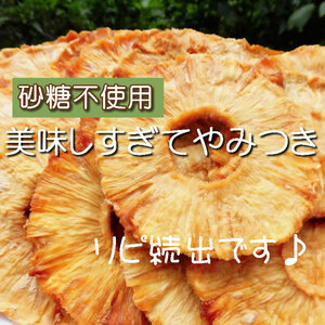【CT】 ドライフルーツ パイナップル 170g ドライパイナップル 無添加 砂糖不使用 ノンシュガー パイン 砂糖未使用