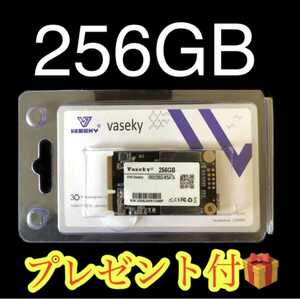 新品 未開封SSD mSATA 256GB(送料無料 プレゼント付き)
