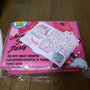 保冷レジャーツール ミニーマウス