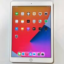 (美品) Apple iPad (第7世代) シルバー 32GB MW752J/A Wi-Fiモデル iOS14.6 アクティベーションロック解除済_画像1