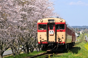  鉄道 デジ 写真 画像 いすみ鉄道 キハ28 52 桜 2018年 6