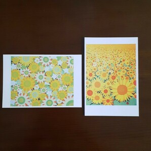 ポストカード　2枚セット　画家　小楠アキコ作品 