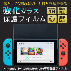 【新品未使用】Nintendo Switch Lite 保護フィルム 2枚 液晶 保護 ガラスフィルム 任天堂 スイッチライト 強化ガラス 9H