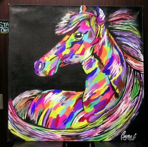 Супер огромный дождь Карил Акрил рисует себя лошадью лошадь Ума Ума 1