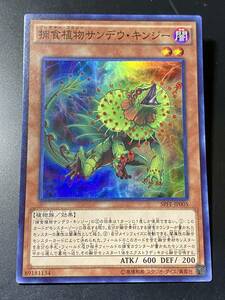 遊戯王 捕食植物サンデウ・キンジー スーパー 美品 即決 数量3　SPFE