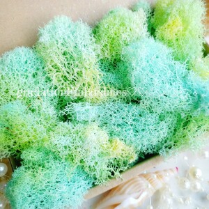 フィンランドモス ミントイエロー 花材 プリザーブドフラワー 海花材