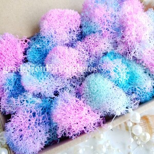 フィンランドモス ピンクブルー 花材 プリザーブドフラワー