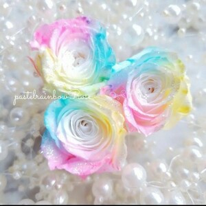 ふんわりホワイトレインボーローズ 3輪 花材 プリザーブドフラワー ハーバリウム花材