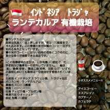 自家焙煎屋　コーヒー豆　トラジャランテカルア　日本JAS認証有機栽培　300g_画像1