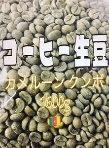 コーヒー生豆　カメルーン　クンボ　1600g アフリカ
