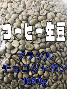 コーヒー生豆 自家焙煎用 ブラジルチョコジャポン 1600g