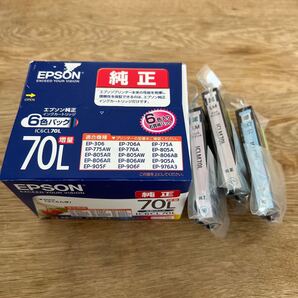 EPSONインクカートリッジ IC6CL70L ICLC70L ICLM70L さくらんぼ