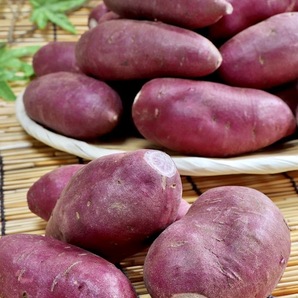 紫芋/ ムラサキイモ 希少品種/パープルスイートロード5kgわけあり/倉庫に眠っている死蔵在庫処分品の画像8