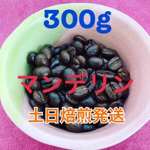 焙煎コーヒー豆 マンデリン300g 土日限定 当日焙煎
