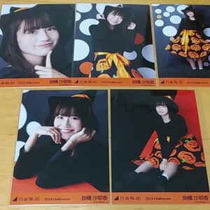 生写真 乃木坂46 掛橋紗耶香 2019.Halloween コンプ