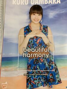 【段原瑠々・93】コレクションピンナップポスター ピンポス Hello! Project 2019 SUMMER「beautiful」／「harmony」 Juice=Juice