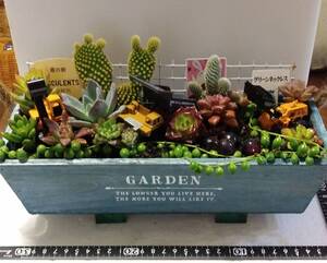 1271多肉植物の寄せ植え★働く車ランド