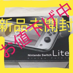 新品 Nintendo Switch ニンテンドースイッチ lite switch nintendo Lite ライト 本体